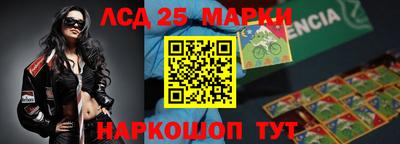 прущие грибы Будённовск