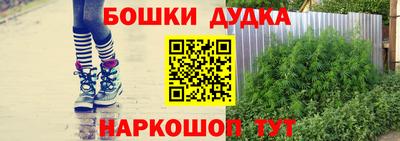 прущие грибы Будённовск