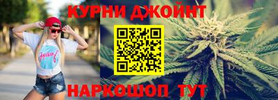 прущие грибы Будённовск