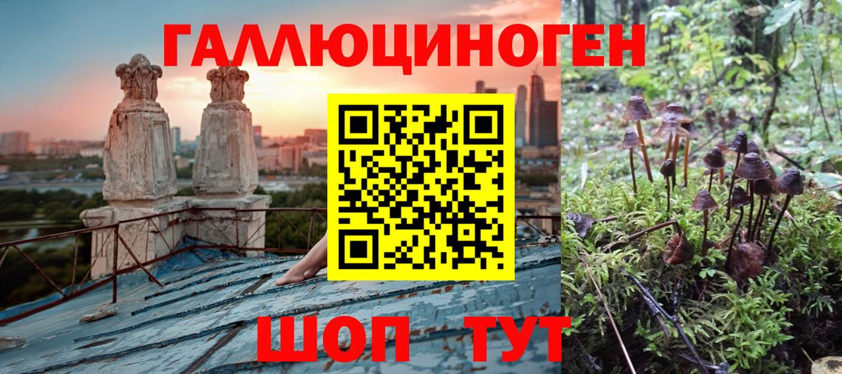 Галлюциногенные грибы MAGIC MUSHROOMS  Вход с VPN  Хасавюрт 